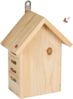 Obrázek produktu pro Dřevěný domeček berušky