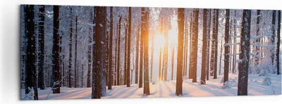 Produktbild von Bild auf Leinwand - Leinwandbild - Wald Winter Schnee - 160x50cm - Wand Bild - Wanddeko - Leinwanddruck - Bilder - Kunstdruck - Wanddekoration - Leinwand bilder - Wandkunst - AB160x50-3629