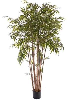 Produktbild von Kunstliche Pflanze - Bambus - tropisch - 130 cm