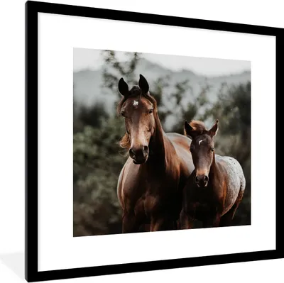 Produktbild von MuchoWow® Gerahmtes Poster Pferde - Wald - Berge 40x40 cm - Poster mit Schwarzem Bilderrahmen Wandposter Rahmen Foto Bilder - Poster - Plakat im Rahmen