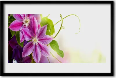 Produktbild von Bild 60x40 MDF-Rahmen Wandkunst Blumen Natur Natur