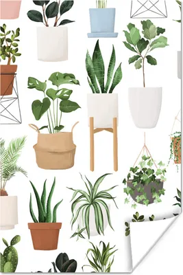 Produktbild von MuchoWow® Poster Pflanzen - Blumentopf - Weiß 80x120 cm - Papierdruck