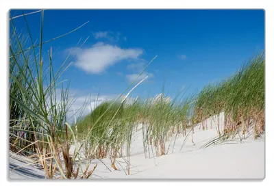 Produktbild von Wallario Frühstücksbrettchen aus Glas 20 x 30 cm mit rutschfesten Füßen, Motiv Düne am Strand unter blauem Himmel