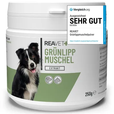 Produktbild von REAVET Grünlippmuschel Extrakt Pulver 250g für Hunde & Katzen | Grünlippmuschelpulver Hund, Grünlippmuschelextrakt hochdosiert nach behandelter Arthrose, Arthritis - Barf Futterzusatz