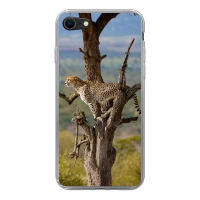 Produktbild von MuchoWow® Handyhülle Schutzhülle Hülle für iPhone 7 Leopard - Baum - Tier Silikon Softcase Handy Hülle - Kartenhalter