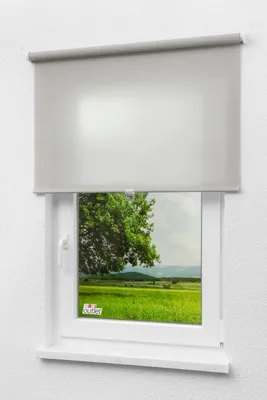 Produktbild von Lysel - Qualitätsspringrollo Tageslicht (B x H) 103cm x 190cm in grau