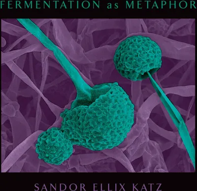 Produktbild von Fermentation as Metaphor