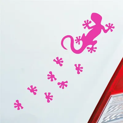 Produktbild von Auto Aufkleber Salamander Agame Echse Lizard Fußspuren 20x6 cm Pink Sticker Heckscheibenaufkleber