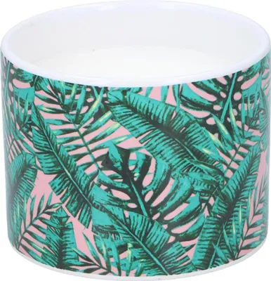 Produktbild von Lebenslange Citronella-Gartenkerze im Topf ø10x8cm