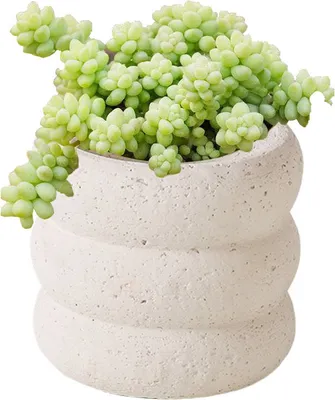 Obrázek produktu pro Cementový květináč o průměru 13 cm s drenážními otvory, květináč pro vnitřní i venkovní použití, protiskluzový podstavec (bílý)