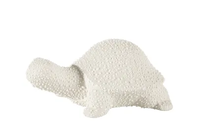 Produktbild von Keramikfigur, Schildkröte, RISO, 14x8x6 cm, cremefarben