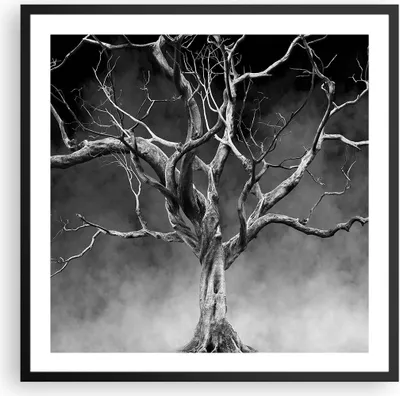 Produktbild von Gerahmtes Poster - Schwarzer Rahmen - Schwarzweiß Äste Rauch - 60x60 cm - Wand Bild - Wanddeko - Wandbilder - Kunstposter - Wandposter - Bilderrahmen - Bilder - Kunstdruck - Wandbild - P2BAC60x60-4346