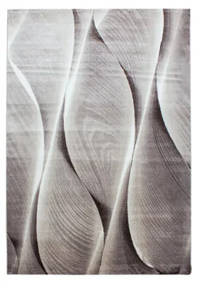 Image de Parma Saty tapis poils ras rectangle 240x340cm brun