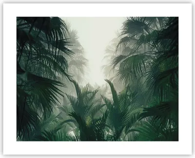 Produktbild von Poster - Poster ohne Rahmen - Dschungel Blätter Palmen - 50x40 cm - Wand Bild - Wanddeko - Wandbilder - Kunstposter - Wandposter - Bilder - Kunstdruck - Wanddekoration - Wandbild - P2XAA50x40-4504