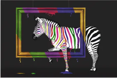 Produktbild von ARTland Wandbild Alu für Innen & Outdoor Das Regenbogen Zebra Größe: 60x40 cm