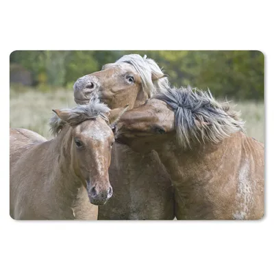 Produktbild von MuchoWow® Schreibtischunterlage Drei spielende Fjordpferde 60x40 cm - XXL Mauspad - Großes Mauspad