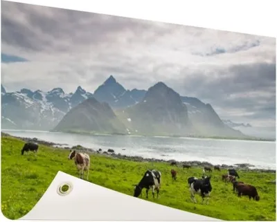 Produktbild von Gartenposter - 120x80 cm - Kühe mit Bergen  - Modernes Wandbilder - NutzTierposter
