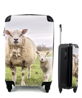 Produktbild von MuchoWow® Koffer Handgepäck Trolley Rollkoffer Kleine Reisekoffer mit 4 Rollen - Schafe - Nutztiere - Porträt - Cabin Size < 55x40x23 cm & 55x40x20 cm - Fotokoffer - Kabinenkoffer - Boardgepäck - Reise-Box - Reisekoffer - Reisegepäck - Koffer mit Bild - Trolley für Kinder