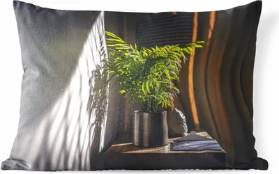 Produktbild von MuchoWow® Outdoor Kissen - Sonnenlicht auf der Pflanze - 60x40 cm - Wetterfest - Lounge Kissen - Zierkissen - Kissen für Innenräume