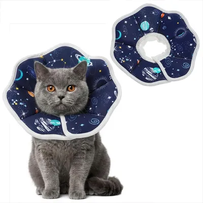 Produktbild von Katzenhalsband, verstellbares Halsband für Katzen und kleine Hunde, wasserdicht, weich, Anti-Leck-Schutz, mit Klettverschluss, Größe M