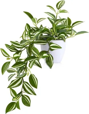Produktbild von Famanu Kunstpflanze 38 cm - Realistische Kunstpflanze für Innen und Außen
