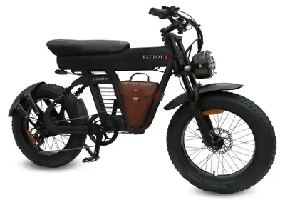Image de Diablo Fat Boy - Fatbike électrique - 20 pouces - Moteur 250W - Autonomie 70 km - 7 vitesses - Freins à disque hydrauliques - Batterie 749Wh - Double suspension - Noir