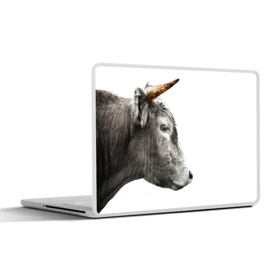 Produktbild von MuchoWow® Laptop Aufkleber Sticker Cover Schottischer Highlander - Tiere - Horn - Gold 36.5x27.5 cm - Laptop-Sticker