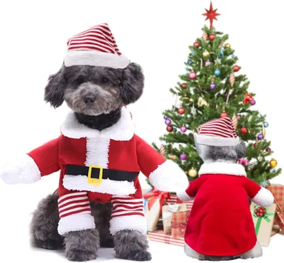 Productafbeelding van Kerstkostuum voor Honden en Katten met Hoody