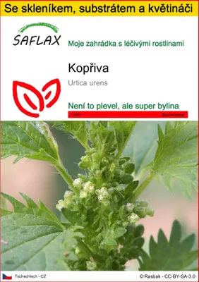 Obrázek produktu pro SAFLAX Kultivační sada - kopřiva - Urtica urens - 150 Semena - S mini skleníkem, pěstebním substrátem a 2 květináči