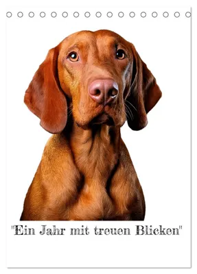 Produktbild von "Ein Jahr mit treuen Blicken" (Tischkalender 2027 DIN A5 hoch), CALVENDO Monatskalender