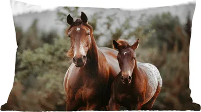 Produktbild von MuchoWow® Zierkissen Sofakissen Wohnzimmer Dekokissen 60x40 cm Pferde - Wald - Berge - Kopfkissen - Polster mit Foto