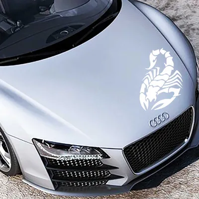 Produktbild von Aufkleber - Autoaufkleber "Skorpion" 80cm x 53cm Weiß - Tuning Carystyling Heckscheibe Auto