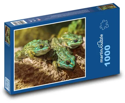 Obrázek produktu pro Puzzle 1000 Tři barevné žáby na skále - martinpuzzle