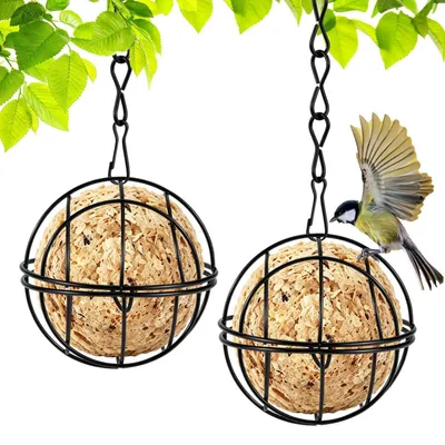 Productafbeelding van Mezenbolhouder, 2 stuks. Voederstation voor vogels, geschikt om op te hangen. Zwart, 8 cm diameter