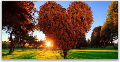 Produktbild von Tulup Leinwand-Bilder 140x70 Wandbild Canvas Kunstdruck Sonne Bäume Natur