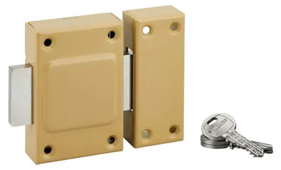 Image de Verrou sans bouton Etendard pour porte de cave, cylindre 40mm, acier, 3 clés - THIRARD