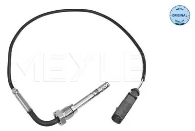 Image de Capteur, température des gaz d'échappement