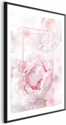 Produktbild von Posterpapier Poster - Fleeting Beauty 40x60 cm Blumen g-C-0159-ao-a