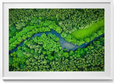Produktbild von Wald und Fluss aus der Vogelperspektive– Wandbild mit Rahmen – Gerahmtes Bild  – Wanddekoration – 100x70 cm –  Weiß Rahmen