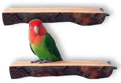Productafbeelding van Houten vogelplatform, 2 stuks, natuurlijke papegaaienstang, speelsteun voor parkietkooi, accessoire, 18 cm