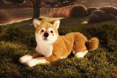 Produktbild von Kösen Shiba-Inu liegend 33 cm Stofftier Hund