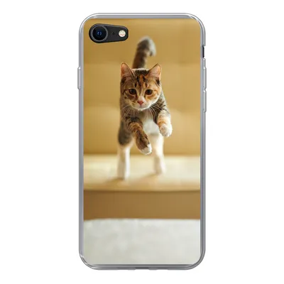 Produktbild von MuchoWow® Handyhülle Schutzhülle Hülle für iPhone 8 Katze - Frühling - Stuhl Silikon Softcase Handy Hülle - Schutzhaube