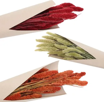 Setaria Trockenblumen Strauß Rot gebranntes Orange natürliches Grün 100g 74 cm Wohn-Deko Schilfgras Tisch-Deko Herbst Dekoration Wohn-Accessoires Blumenstrauß Basteln & Dekorieren
