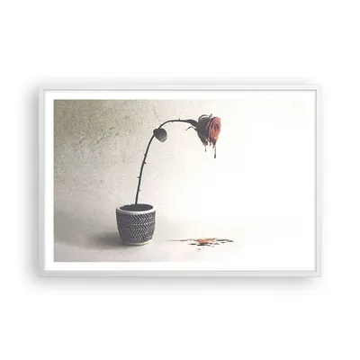 Produktbild von Gerahmtes Poster - Weißer Rahmen - Symbol Rose Leiden - 91,5x61 cm - Wand Bild - Wanddeko - Wandbilder - Kunstposter - Wandposter - Bilderrahmen - Bilder - Kunstdruck Wanddekoration - P2WAA91x61-4501