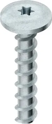 Imagen del producto de Tornillo de anclaje Kleinhuis E00, cabeza plana grande, para agujero de 6 mm, longitud 40 mm, con cabeza Torx T30, 1 unidad.