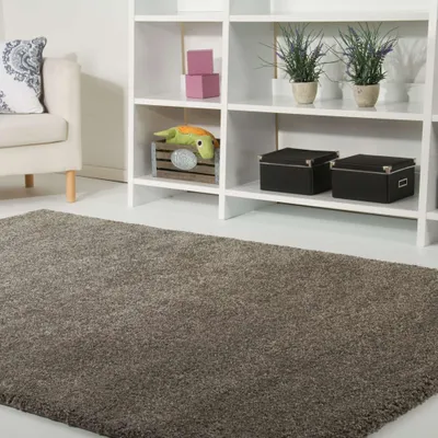 Produktbild von Shaggy Hochflor Teppich Chamonix Langflor in Grau, Größe: 240x330 cm