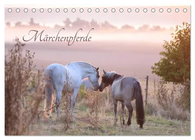 Produktbild von Märchenpferde (Tischkalender 2027 DIN A5 quer), CALVENDO Monatskalender