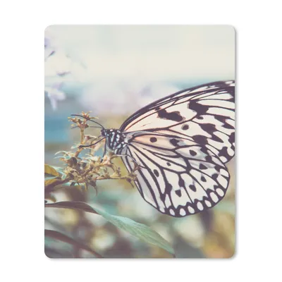 Produktbild von MuchoWow® Mauspad Mousepad Schmetterling - Blumen - Frühling 19x23 cm - Mousepads - Maus Mat - Pad - Mausunterlage - Mauspads - Spielen