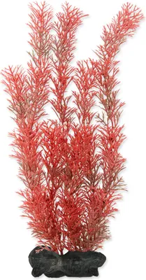 Produktbild von Tetra Red Foxtail, küntliche Pflanze 30 cm hoch