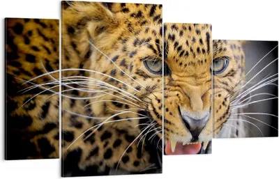 Produktbild von Bild auf Leinwand - Leinwandbild - Leopard tier savanne afrika - 120x70cm - Wand Bild - Wanddeko - Leinwanddruck - Bilder - Kunstdruck - Wanddekoration - Leinwand bilder - Wandkunst - DL120x70-2728